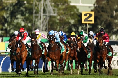 Rosehill Horse Racing