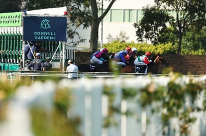 Rosehill Horse Racing