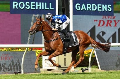 Rosehill Horse Racing