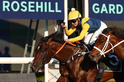 Rosehill Horse Racing