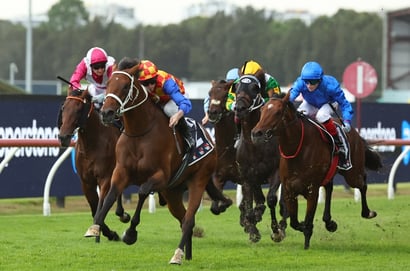 Rosehill Horse Racing