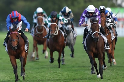 Rosehill Horse Racing