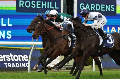 Rosehill Horse Racing