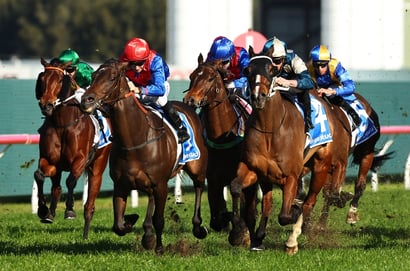 Rosehill Horse Racing