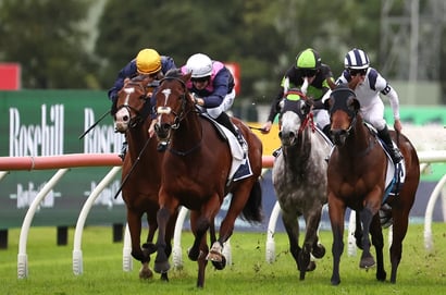 Rosehill Horse Racing