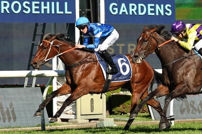 Rosehill Horse Racing