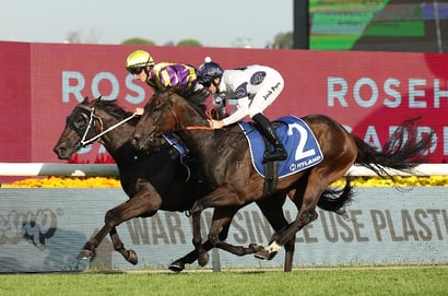 Rosehill Racing