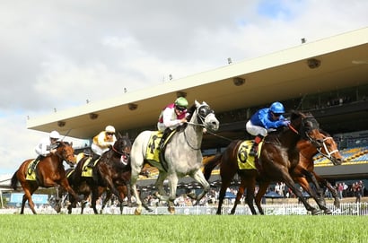Rosehill Racing