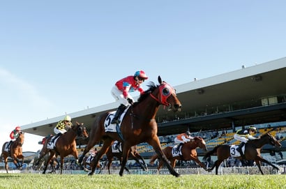 Rosehill Tips for 02.08.2025