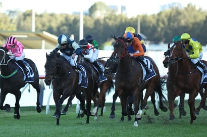 Rosehill Tips for 10.10.2026