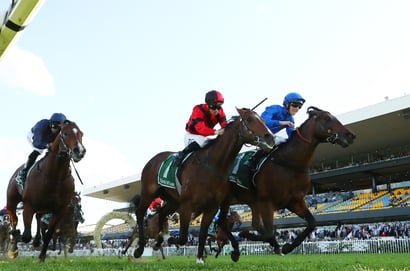 Rosehill Tips for 13.09.2025