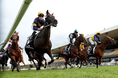 Rosehill Tips for 14.06.2025