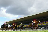 Rosehill Tips for 16.08.2025