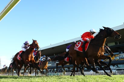 Rosehill Tips for 19.07.2025
