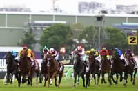 Rosehill Tips for 22.02.2025