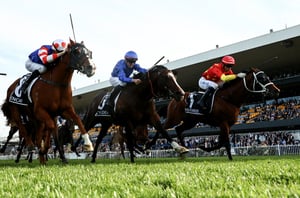 Rosehill Tips for 26.09.2026