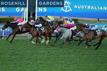 Rosehill Tips for 28.06.2025