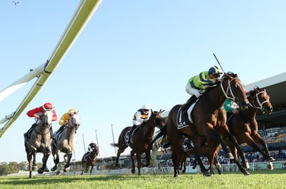 Rosehill Tips for 29.03.2025