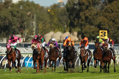 Rosehill Tips for 31.05.2025