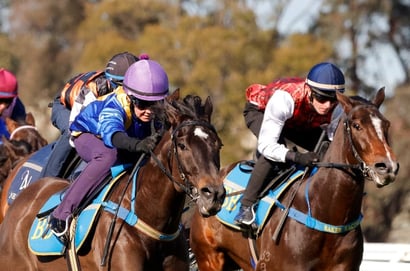 Rosehill Trials