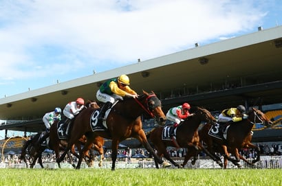 Rosehill tips - 06/04