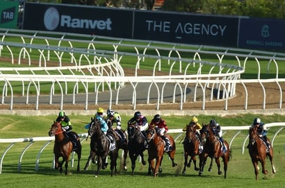 Rosehill tips for 01.02.2025