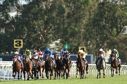 Rosehill tips for 08.11.2025