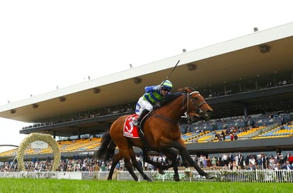 Rosehill tips for 11.10.2025