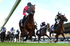 Rosehill tips for 13.06.2026