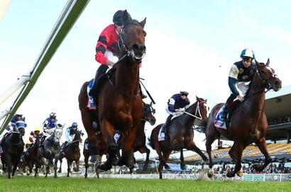 Rosehill tips for 13.06.2026