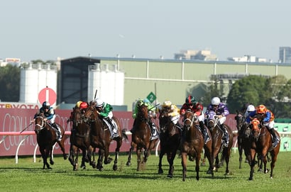 Rosehill tips for 14.03.2026