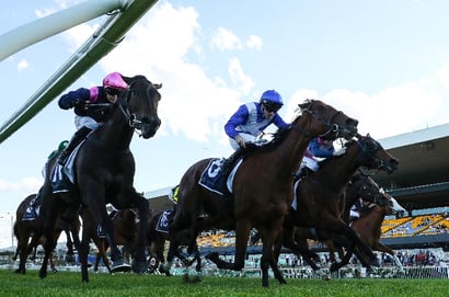 Rosehill tips for 14.10.2026