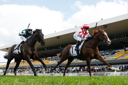 Rosehill tips for 15.08.2026