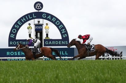 Rosehill tips for 17.01.2026
