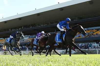 Rosehill tips for 21.02.2026