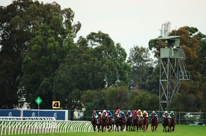 Rosehill tips for 27.06.2026