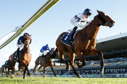 Rosehill tips for 29.08.2026