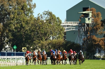 Rosehill tips for 29.10.2025