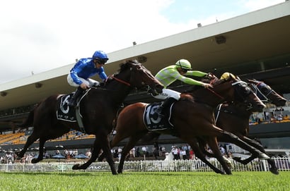 Rosehill tips for 29/11/2025