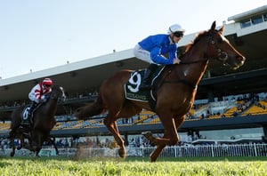 Rosehill tips fror 12.09.2026