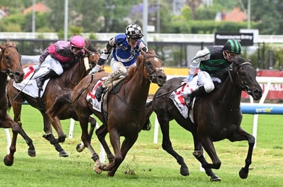 Saturday Roughies for August 8, 2026 - Value Picks Across Australia