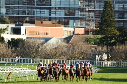 Saturday Roughies for July 25, 2026 - Value Picks Across Australia