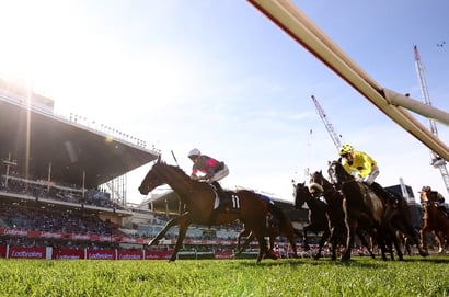 Saturday Roughie Tips for October 25, 2025 - Value Chances Across Australia