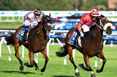 Saturday Roughies for August 29, 2026 - Value Picks Across Australia