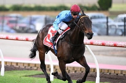 Roughie Tips for August 9, 2025 - Big priced runners to back