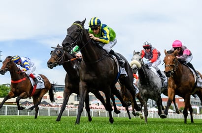 Roughie Tips for July 19, 2025 - Big priced runners to back