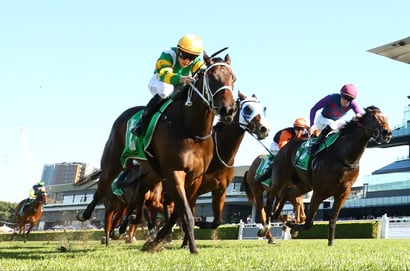 Roughie Tips for July 26, 2025 - Big priced runners to back