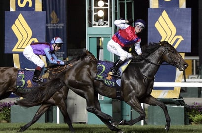 South Australian Derby - A Look Back at Five Iconic Winners