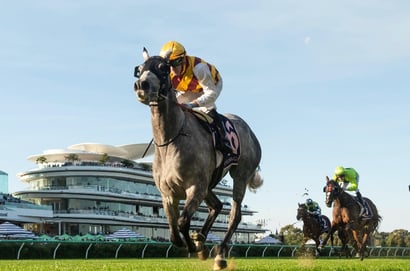 SA Derby Odds