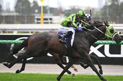 South Australian Derby 2025 Betting Odds - Statuario leads the early market
